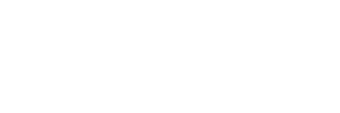 Platinum Solution Partner enterprise white